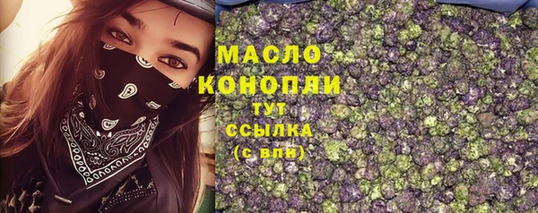 индика Майский