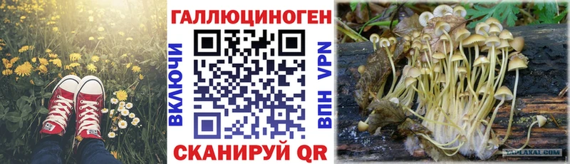 Галлюциногенные грибы мухоморы  Талдом 
